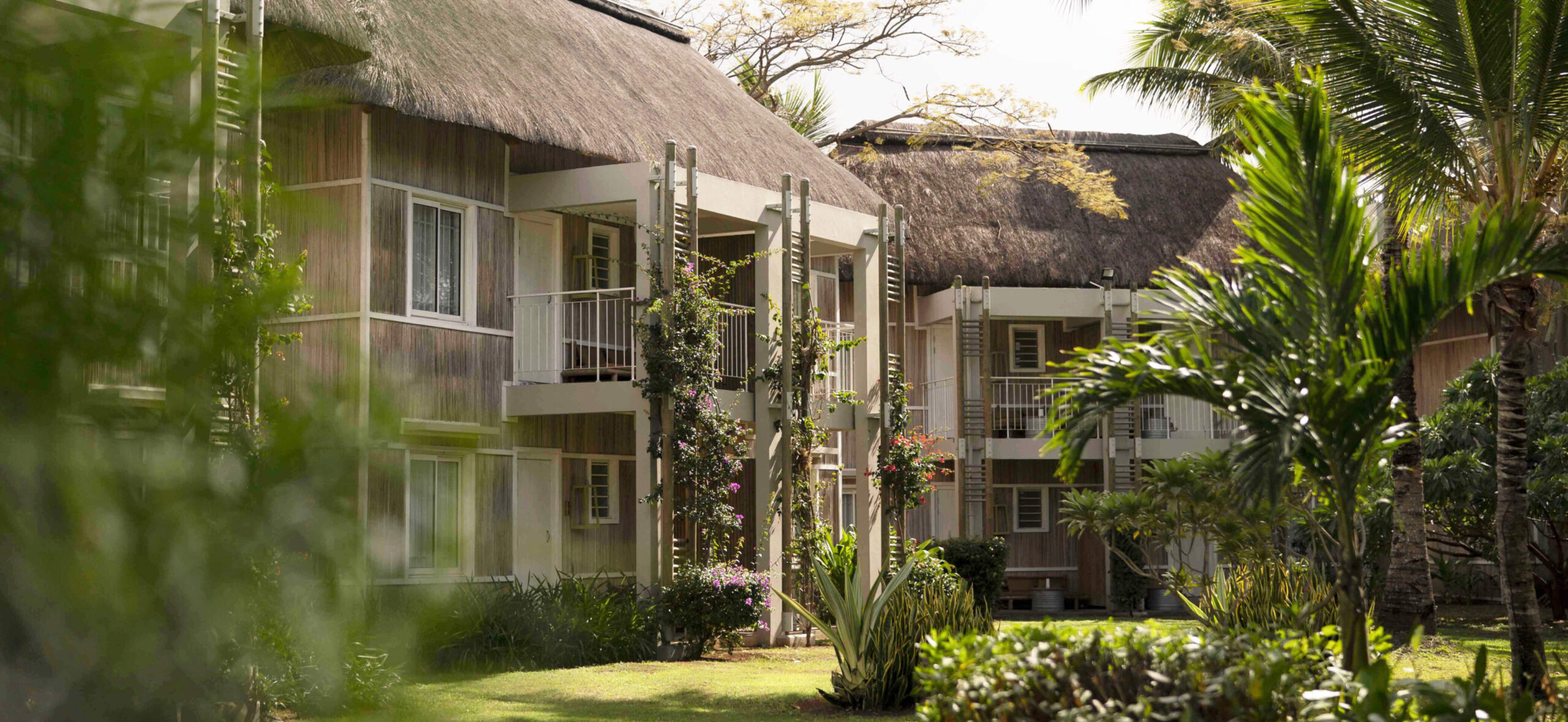 VT-GENERAL VIEW5-Grande.jpg