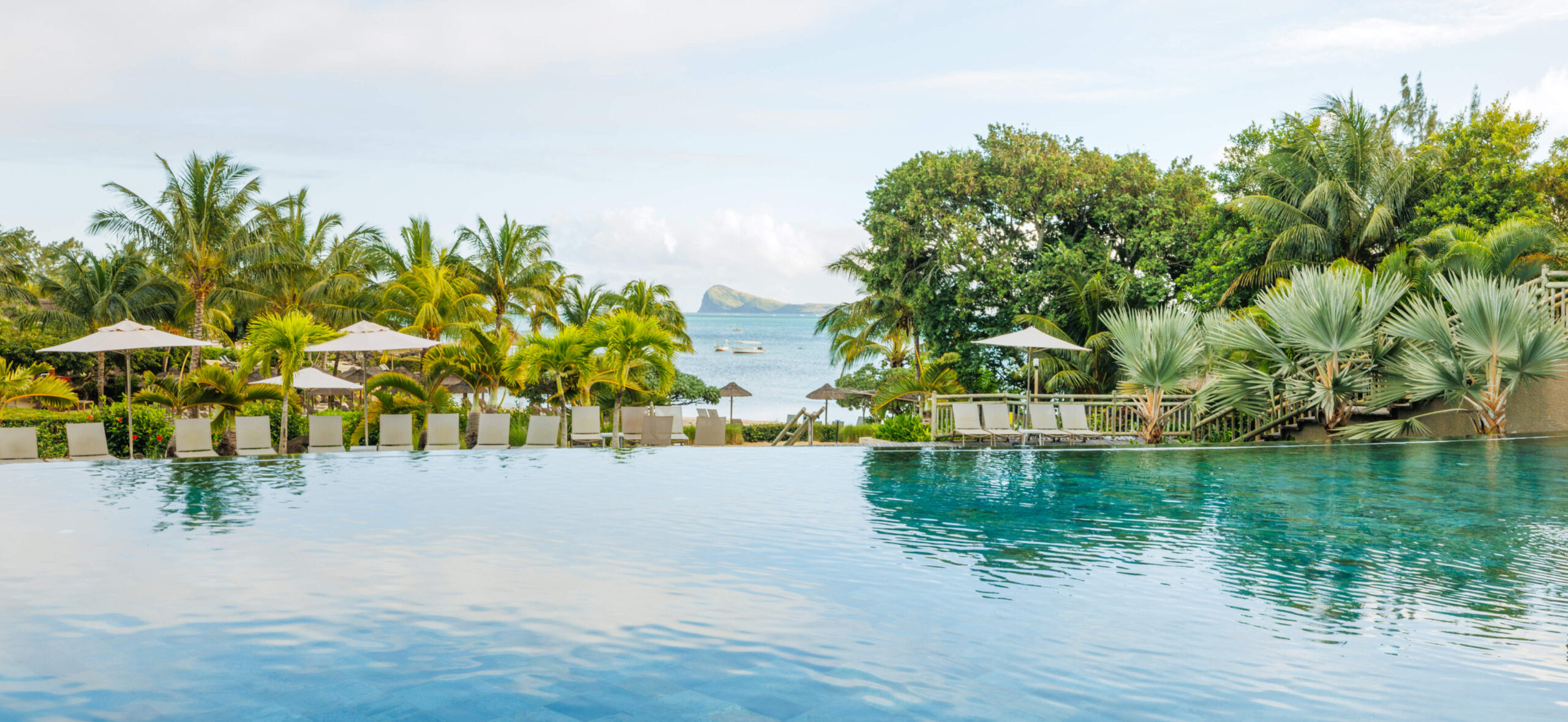 ZA_view 01-Grande vignette.jpg