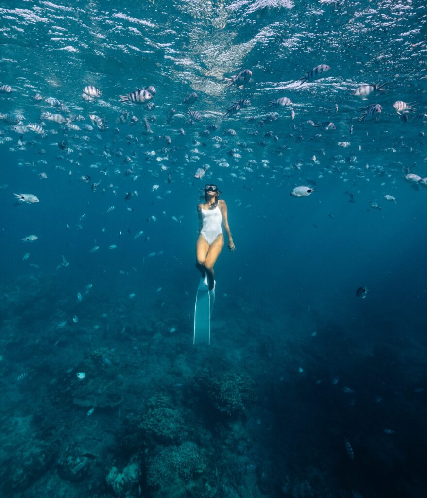 492003104_1002699882053986_8817138551480184893_n